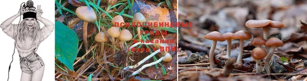 мет Аркадак