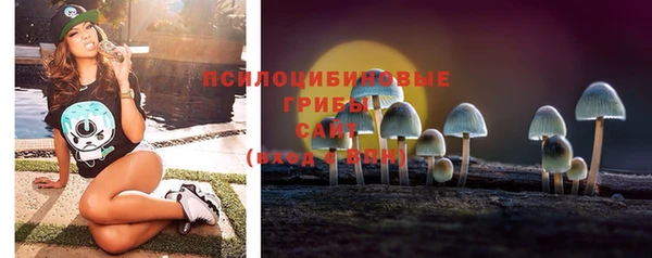 мет Аркадак