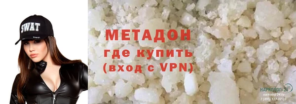 индика Алексин