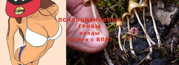 мет Аркадак